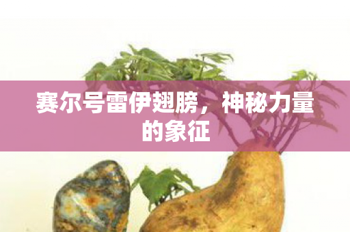 赛尔号雷伊翅膀图片