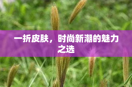 时尚新潮的魅力之选图片