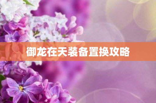 御龙在天装备置换攻略图片