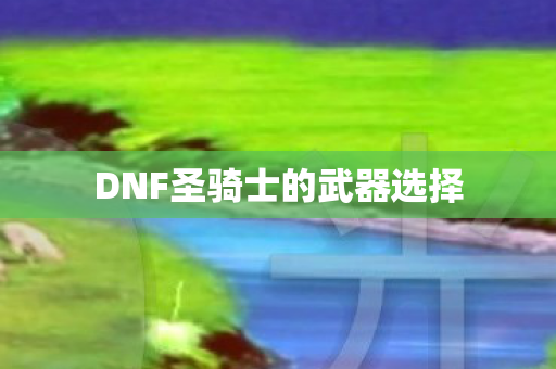 DNF圣骑士的武器选择图片
