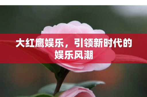 引领新时代的娱乐风潮图片