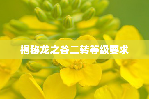 揭秘龙之谷二转等级要求图片
