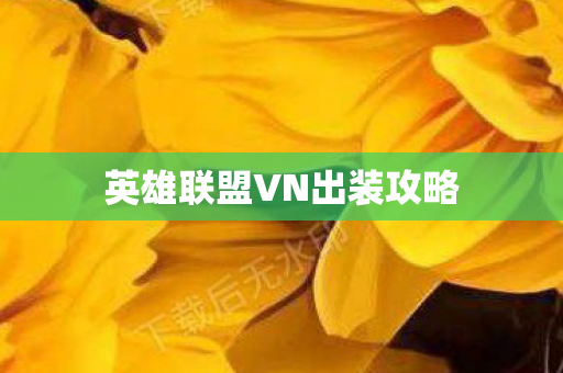 英雄联盟VN出装攻略图片