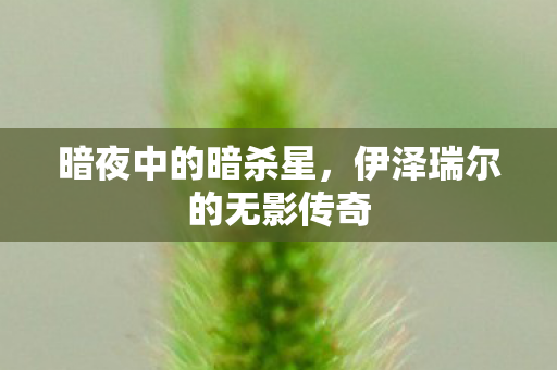 伊泽瑞尔的无影传奇图片