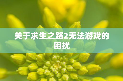 关于求生之路2无法游戏的困扰图片