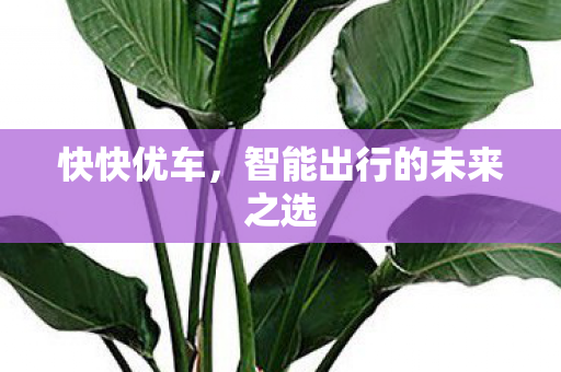 智能出行的未来之选图片