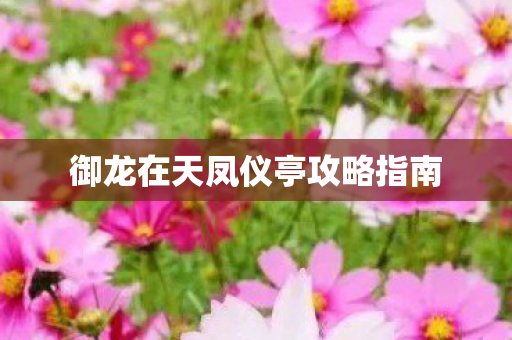 御龙在天凤仪亭攻略指南图片