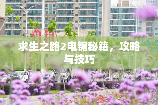 求生之路2电锯秘籍图片
