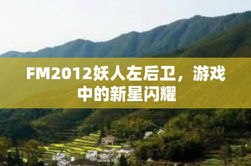 FM2012妖人左后卫图片