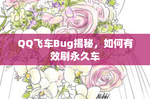 QQ飞车Bug揭秘图片