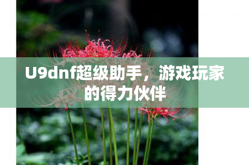 U9dnf超级助手图片