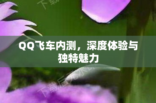 深度体验与独特魅力图片