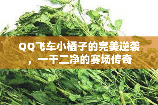 QQ飞车小橘子的完美逆袭图片
