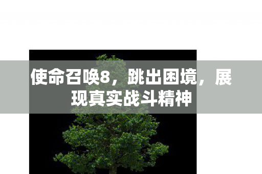 展现真实战斗精神图片