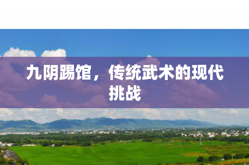传统武术的现代挑战图片