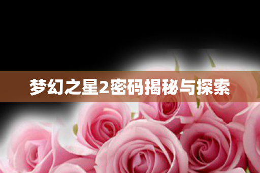 梦幻之星2密码揭秘与探索图片
