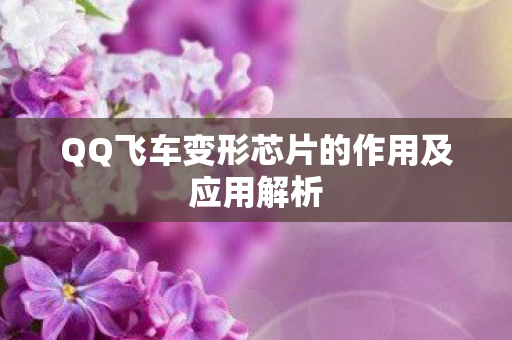 QQ飞车变形芯片的作用及应用解析图片