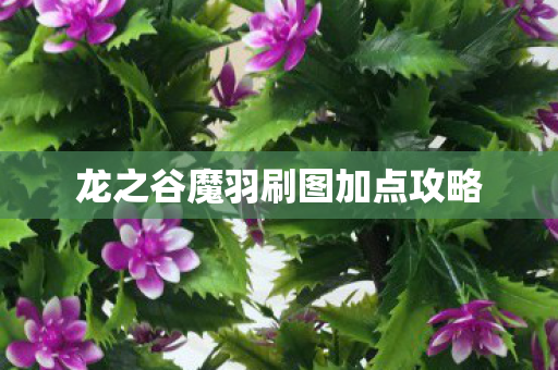 龙之谷魔羽刷图加点攻略图片