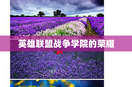 英雄联盟战争学院的荣耀图片
