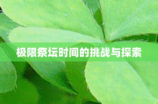 极限祭坛时间的挑战与探索图片