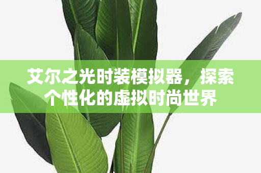 探索个性化的虚拟时尚世界图片