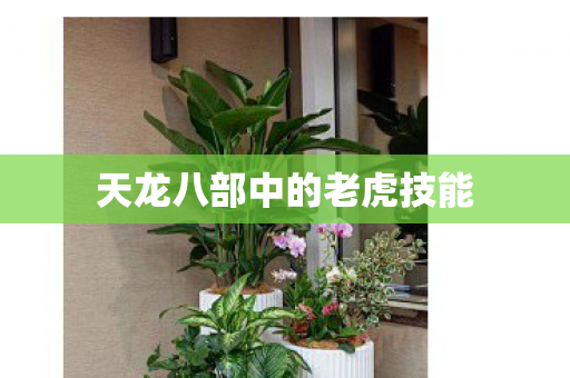 天龙八部中的老虎技能图片