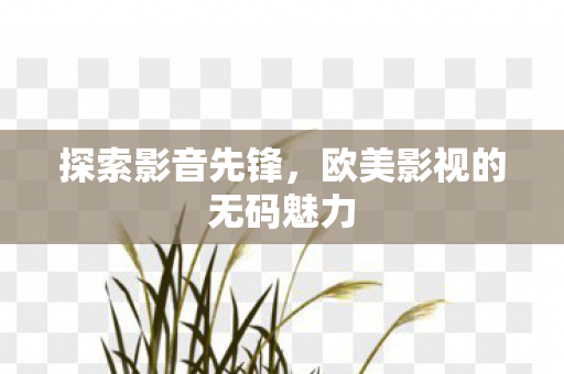 欧美影视的无码魅力图片