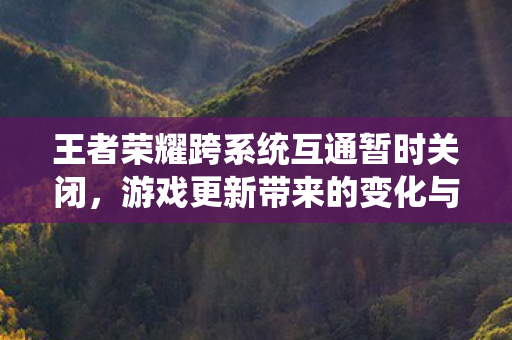 王者荣耀跨系统互通暂时关闭图片