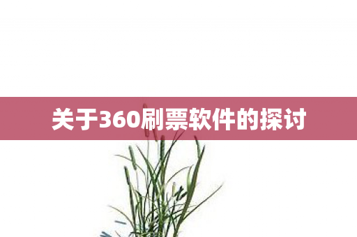 关于360刷票软件的探讨图片