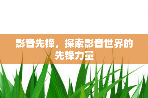 探索影音世界的先锋力量图片