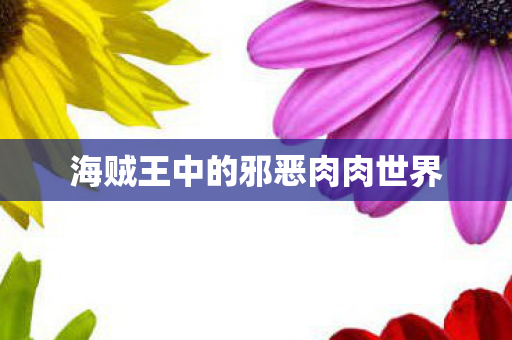 海贼王中的邪恶肉肉世界图片