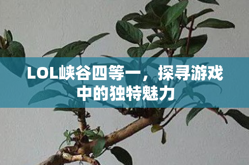 探寻游戏中的独特魅力图片