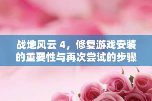 修复游戏安装的重要性与再次尝试的步骤图片