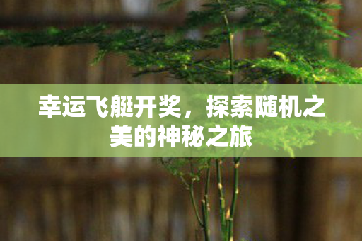 探索随机之美的神秘之旅图片