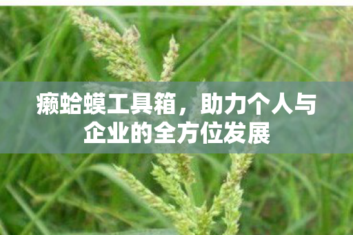 助力个人与企业的全方位发展图片
