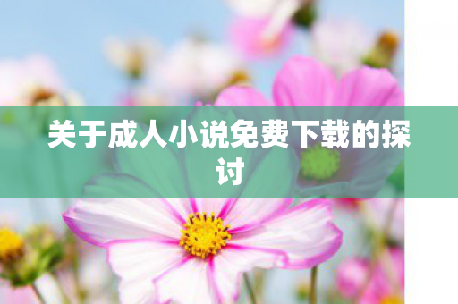 关于成人小说免费下载的探讨图片