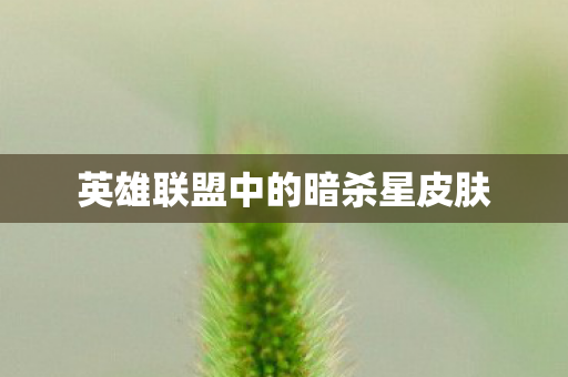 英雄联盟中的暗杀星皮肤图片