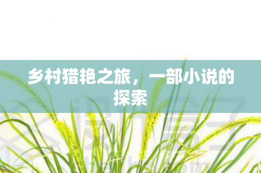 一部小说的探索图片