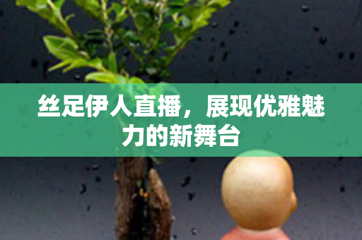 展现优雅魅力的新舞台图片