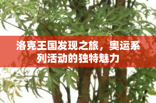 奥运系列活动的独特魅力图片