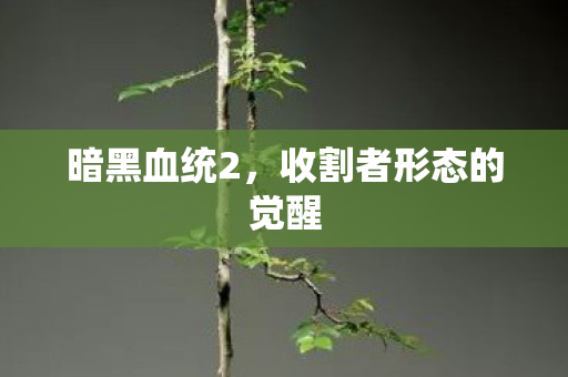 收割者形态的觉醒图片