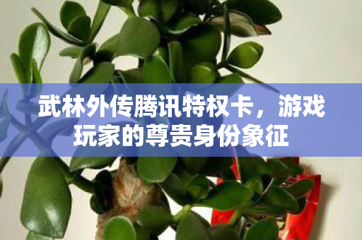 游戏玩家的尊贵身份象征图片