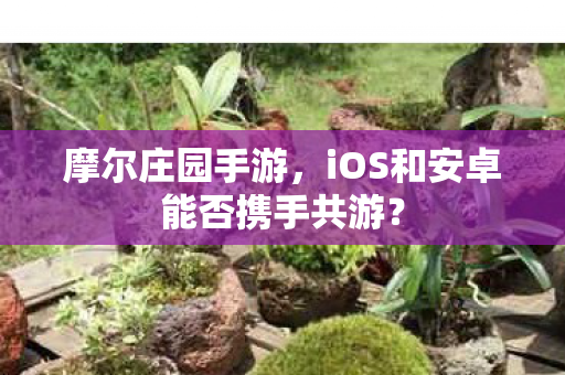 iOS和安卓能否携手共游图片