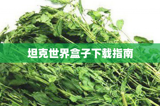 坦克世界盒子下载指南图片