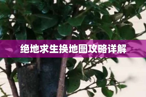 绝地求生换地图攻略详解图片
