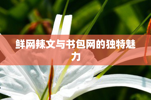 鲜网辣文与书包网的独特魅力图片