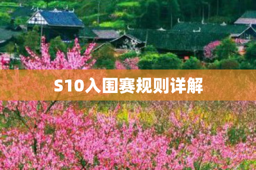 S10入围赛规则详解图片