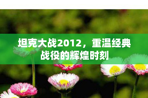 重温经典战役的辉煌时刻图片