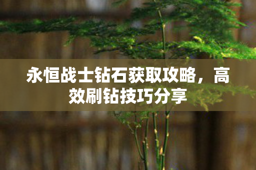 永恒战士钻石获取攻略图片