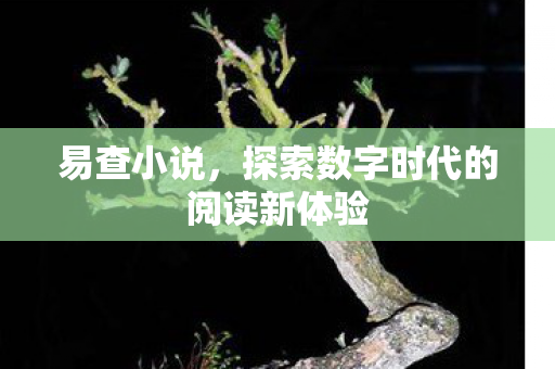 探索数字时代的阅读新体验图片